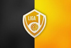 Новообразованный турнир - Лига 1