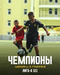 Досрочно Чемпионы