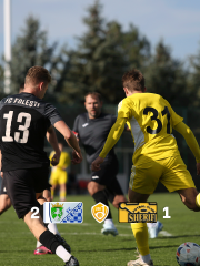 Уступили в Фэлештах